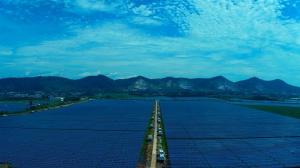 江西35MW漁光互補項目